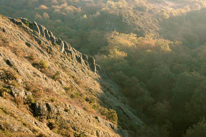 stage géobiologie le Val sans retour, forêt de Brocéliande